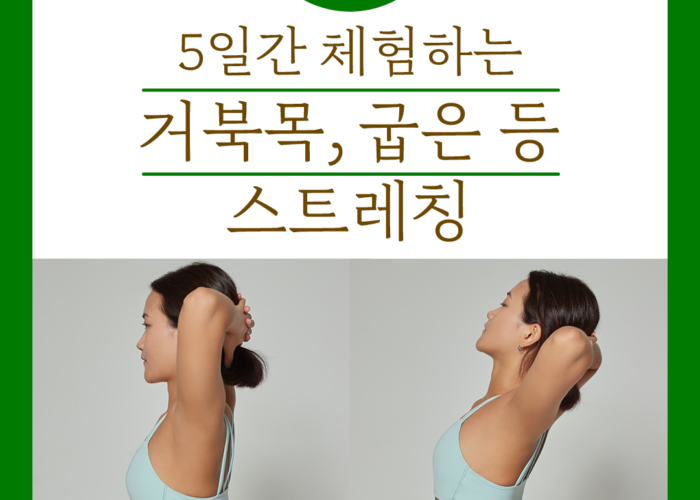 굽은등교정, 따라 하기 쉬운 목 어깨 스트레칭 4가지 3